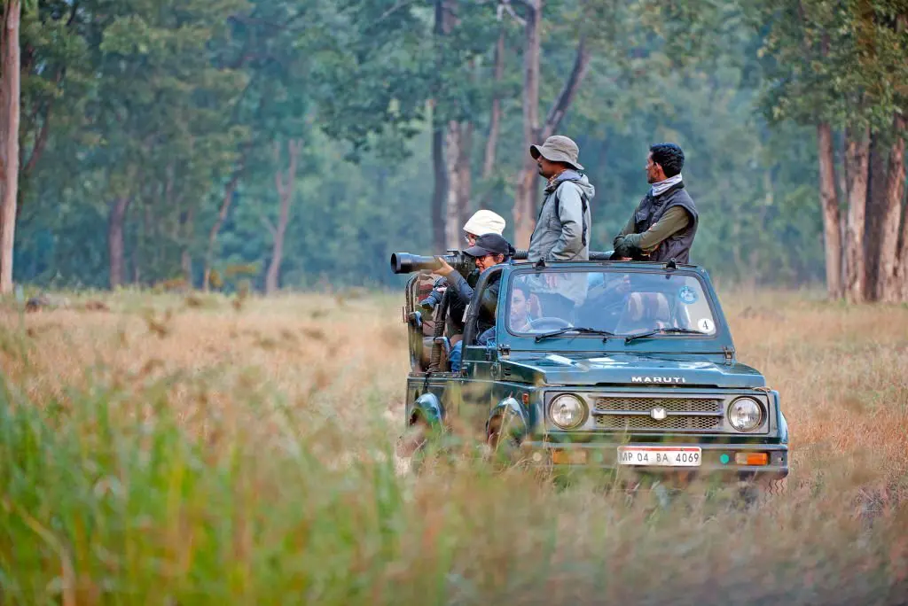 safari in india vas africa